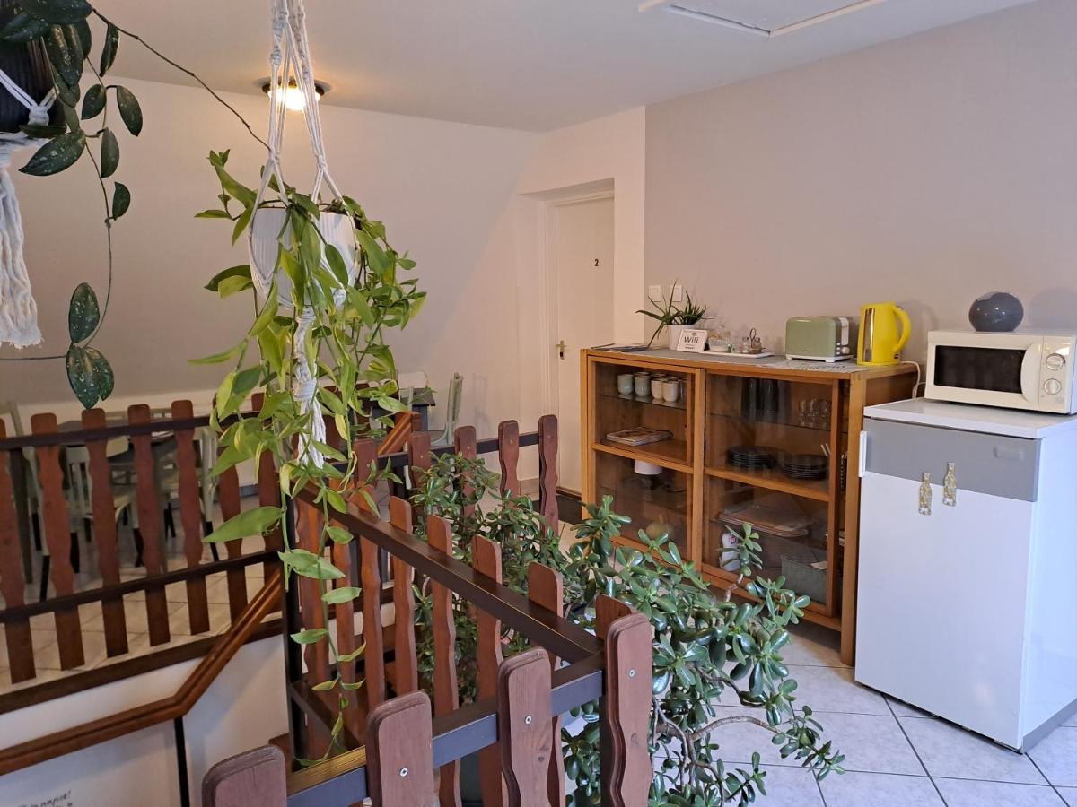 Diokert Vendeghaz Sopron Bed & Breakfast Bagian luar foto